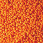 RED WHOLE LENTIL